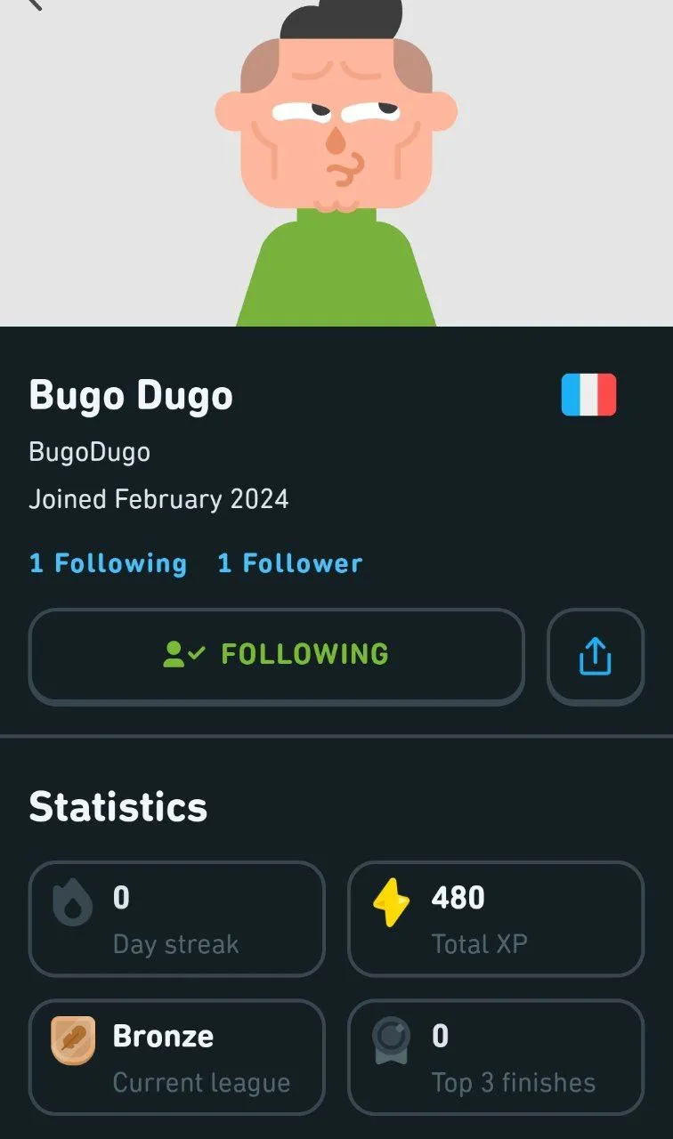 duolingo-stats-2