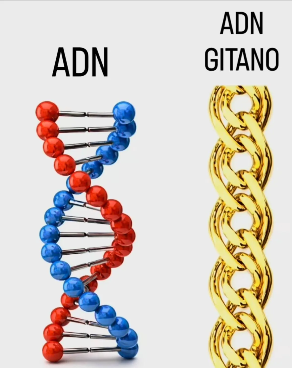 ADN Gitano